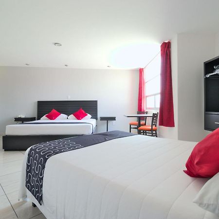 Hotel Euro Confort,Pachuca Екстер'єр фото