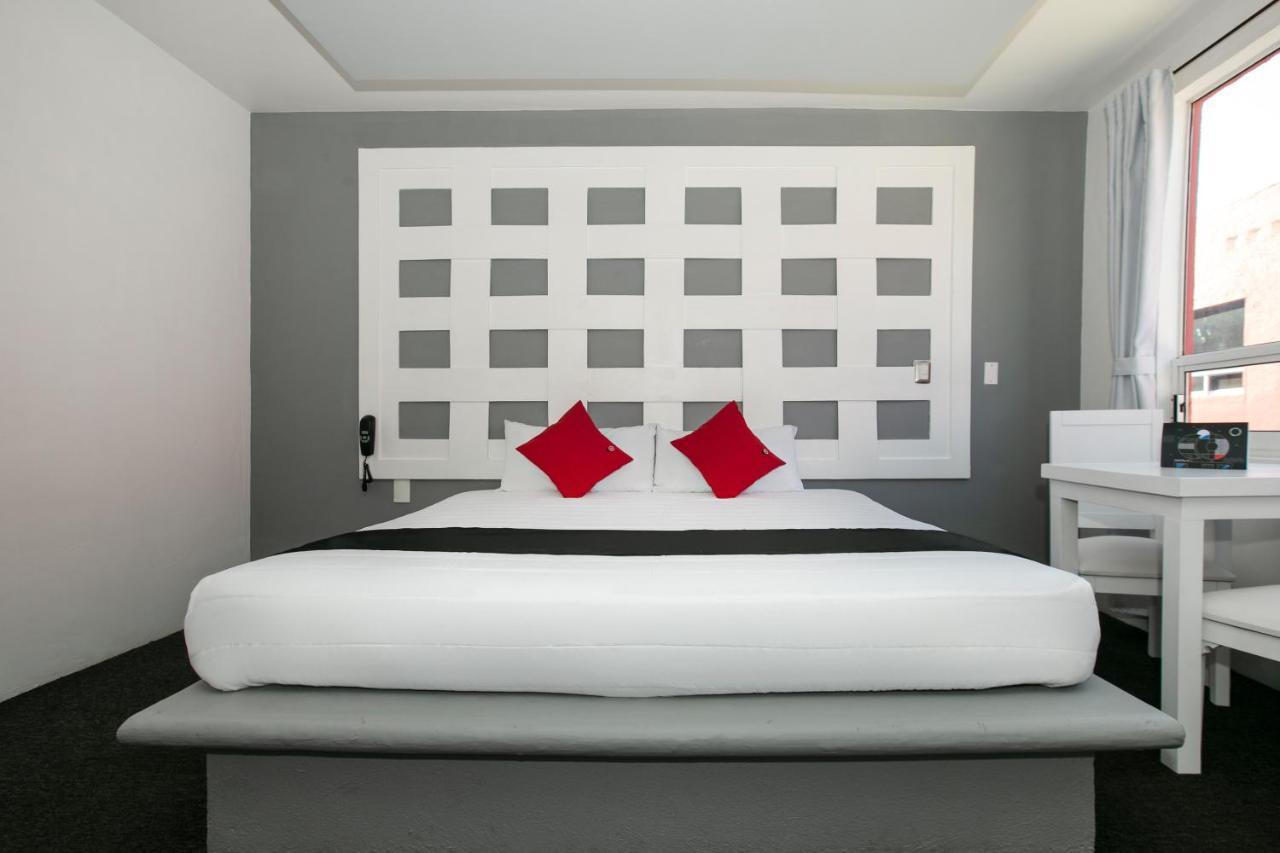 Hotel Euro Confort,Pachuca Екстер'єр фото